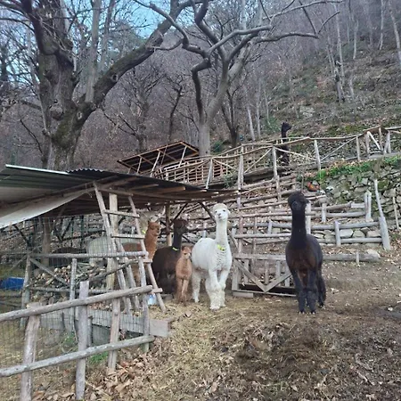 Lejlighed Casa Di Sasso